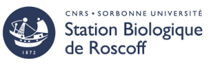 logo partenaire